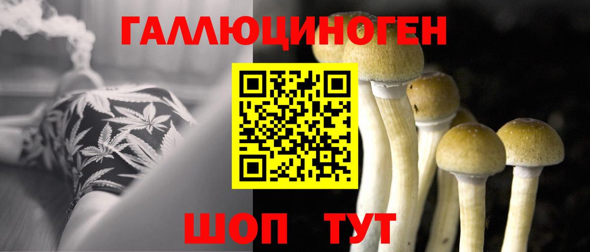 наркошоп  Галлюциногенные грибы Psilocybe  Углич  Вход с VPN  Галлюциногенные грибы ЛСД 